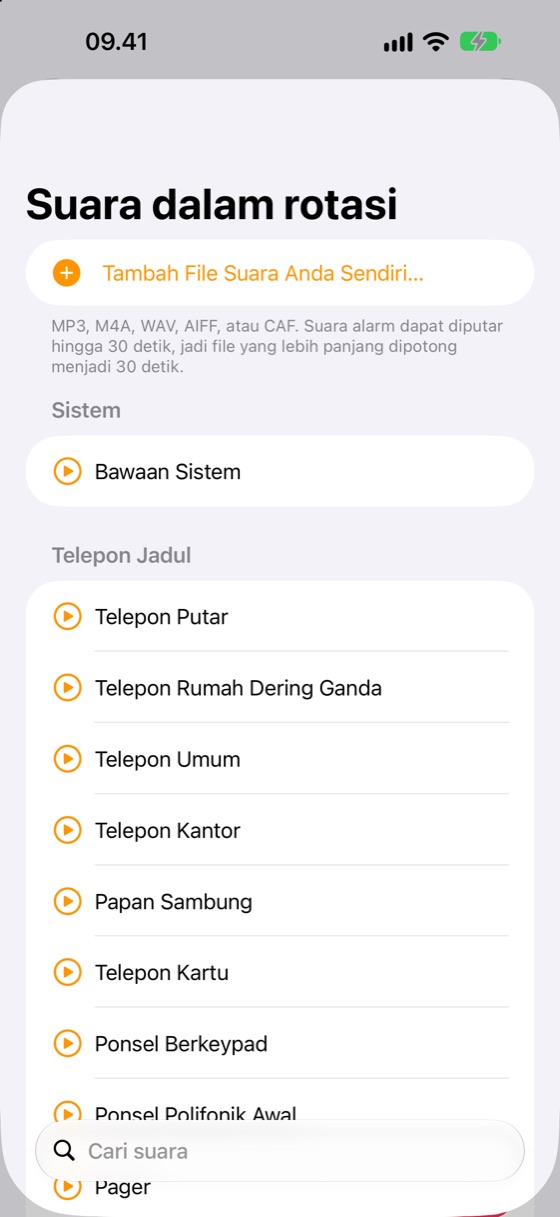 Pustaka suara
