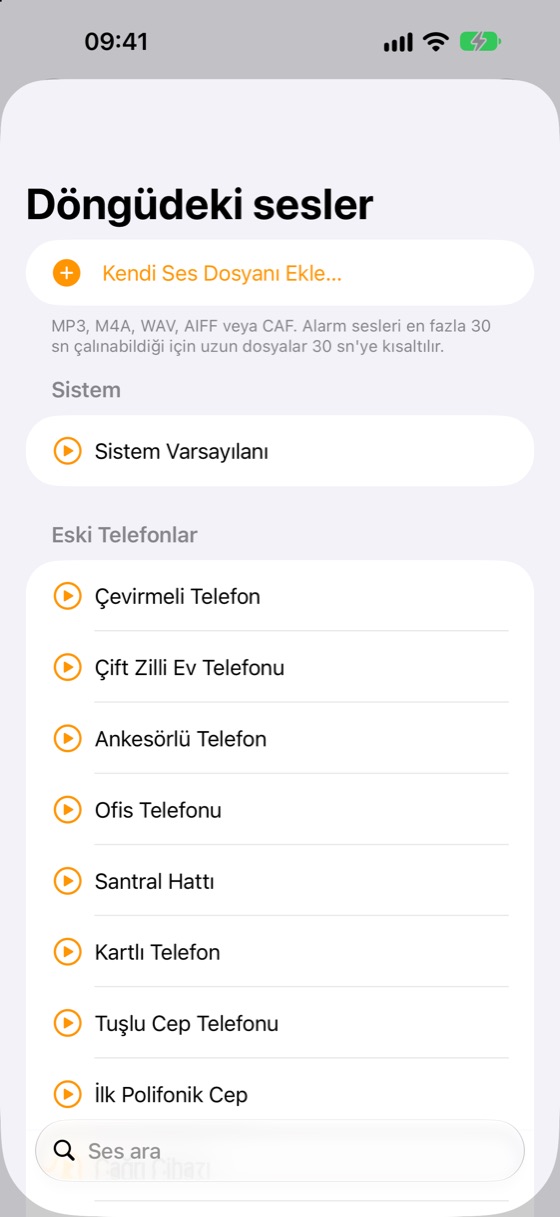 Ses kütüphanesi